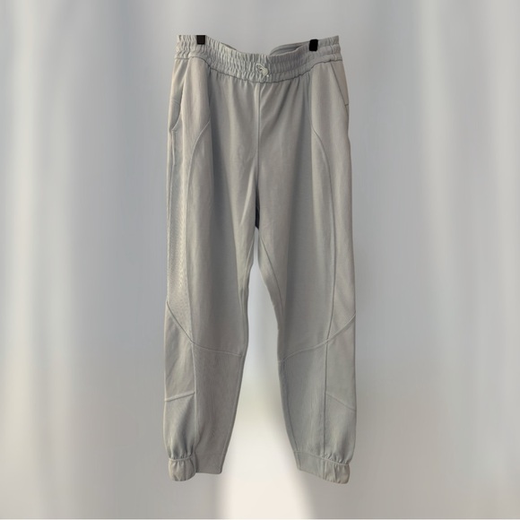 NWOT Lululemon Brushed Softstreme Ribbed High-Rise Jogger
Powder Blue - Picture 6 of 9